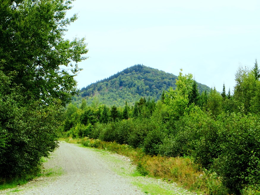 The Retreat Road in Hersey with view of Bear Mountain