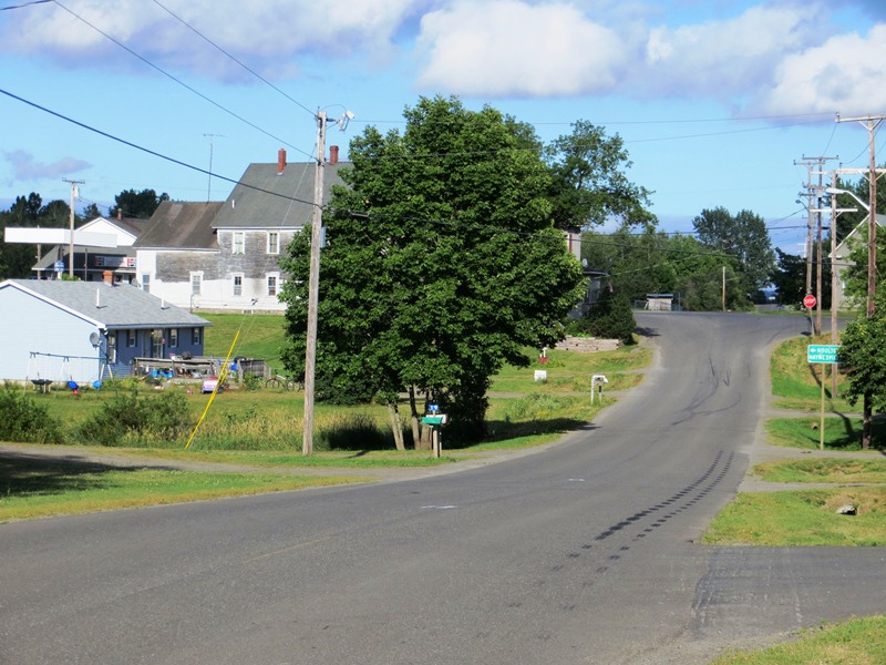 Linneus Village
