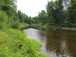Molunkus Stream at the Rest Area (2012) @