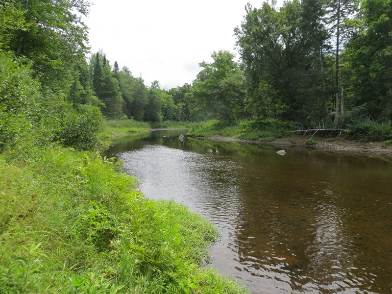 Molunkus Stream at the Rest Area (2012) @