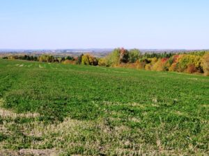 Fields and Hills in Mapleton from Route 163