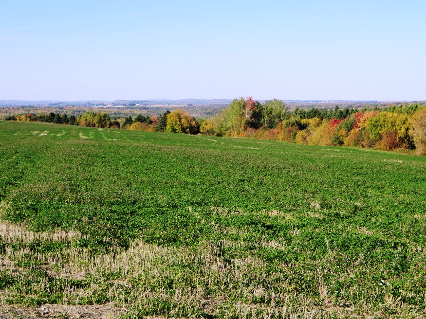Fields and Hills in Mapleton from Route 163