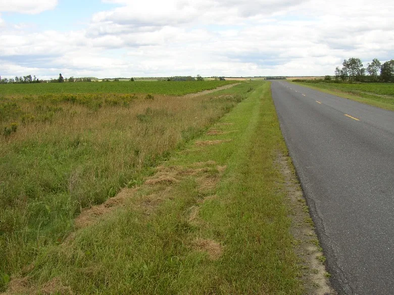 Jemtland Road in Connor (2003)